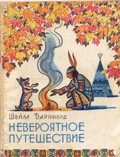 Обложка книги «Невероятное путешествие»