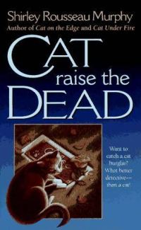 Обложка книги «Cat Raise The Dead»