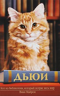 Обложка книги «Дьюи. Кот из библиотеки, который потряс весь мир»