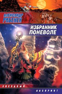 Обложка книги «Избранник поневоле»