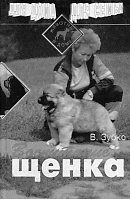 Обложка книги «Воспитание щенка»