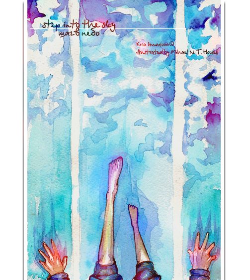 Обложка книги «Шаг в небо»