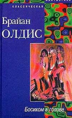 Обложка книги «Босиком в голове»