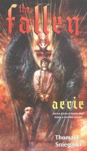 Обложка книги «Aerie»