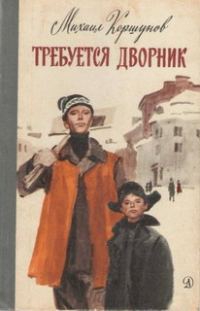 Обложка книги «Требуется дворник»