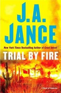 Обложка книги «Trial By Fire»