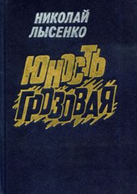 Обложка книги «Юность грозовая»