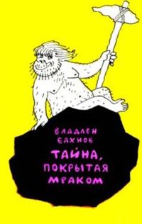 Обложка книги «Тайна, покрытая мраком»
