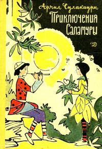 Обложка книги «Приключения Саламуры»