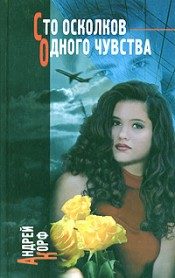 Обложка книги «Сто осколков одного чувства»