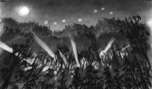 Обложка книги «The Lights at Crawford Hills»