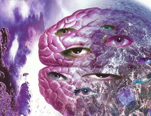 Обложка книги «Эта строптивая река»