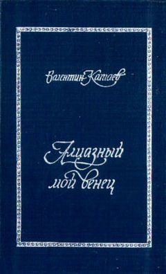 Обложка книги «Алмазный мой венец»