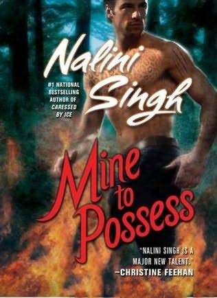 Обложка книги «Mine to Possess»