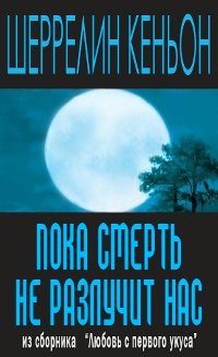 Обложка книги «Пока смерть не разлучит нас»