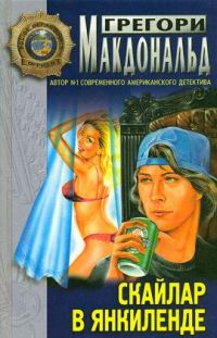 Обложка книги «Скайлар»