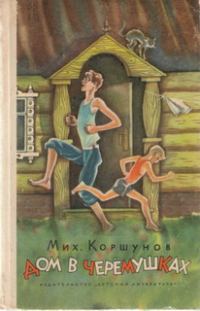 Обложка книги «Дом в Черёмушках»