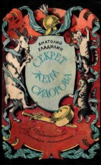 Обложка книги «Секрет Жени Сидорова»