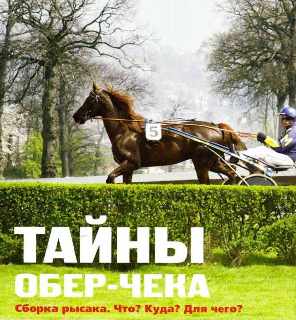 Обложка книги «Тайны обер-чека. Сборка рысака. Что? Куда? Для чего?»
