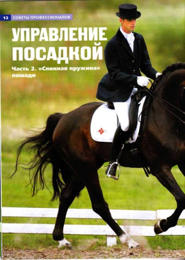 Обложка книги «Управление посадкой. Часть 2 "Спинная пружина" лошади.»