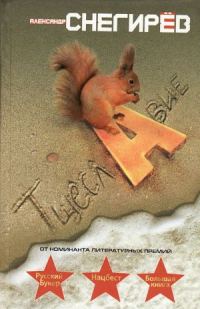 Обложка книги «Тщеславие»