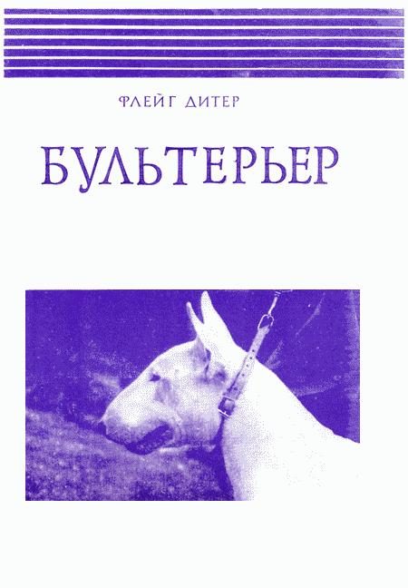 Обложка книги «Бультерьер»