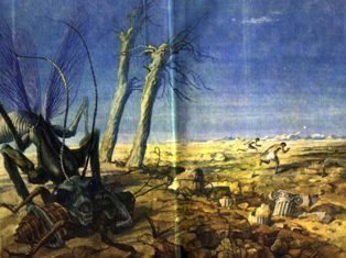 Обложка книги «Воины Королевы»