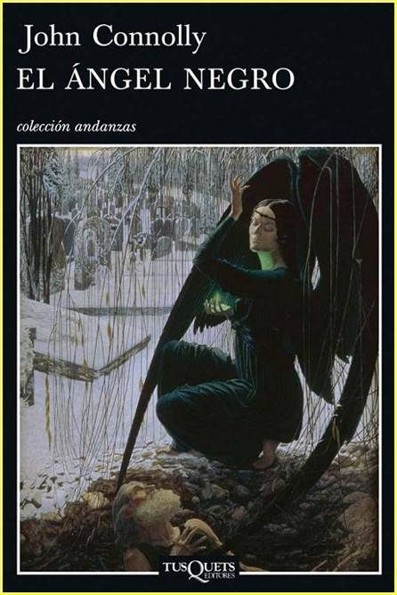 Обложка книги «El Ángel Negro»