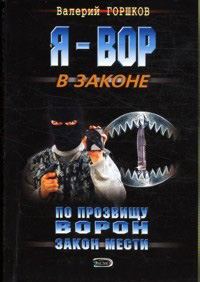 Обложка книги «Закон мести»