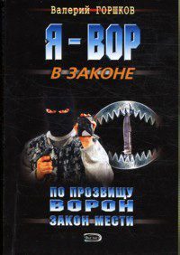 Обложка книги «Закон мести»