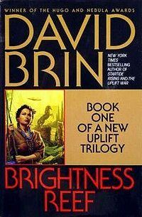 Обложка книги «Brightness Reef»
