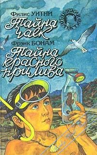 Обложка книги «Тайна чаек»