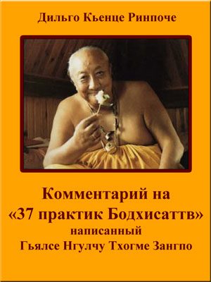 Обложка книги «Комментарий на «37 практик Бодхисаттв»»