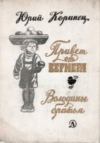 Обложка книги «Володины братья»