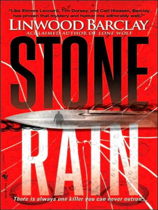Обложка книги «Stone Rain»
