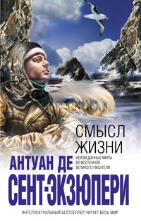 Обложка книги «Смысл жизни»
