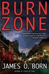 Обложка книги «Burn Zone»