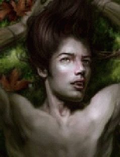 Обложка книги «Вечность»