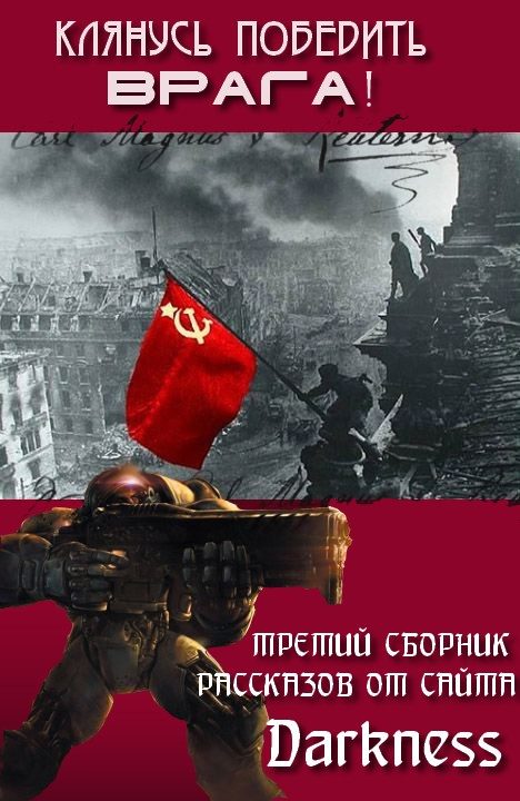 Обложка книги «Клянусь победить врага»