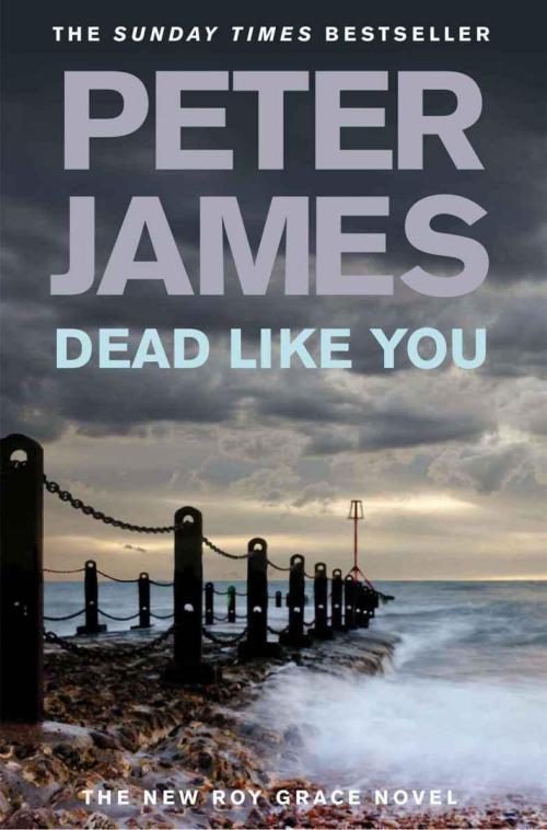 Обложка книги «Dead Like You»