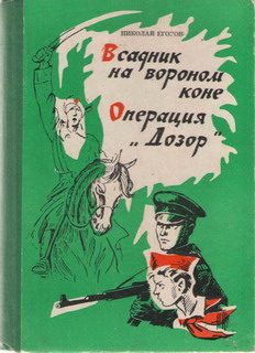 Обложка книги «Всадник на вороном коне»