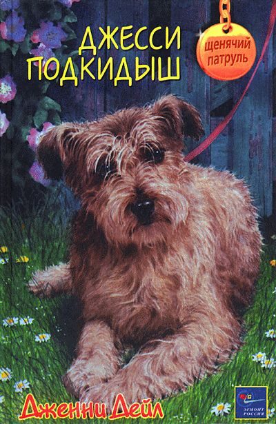 Обложка книги «Джесси-подкидыш»