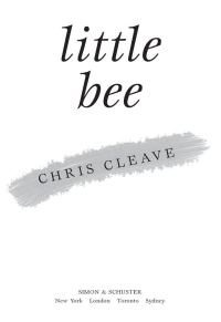 Обложка книги «Little Bee»