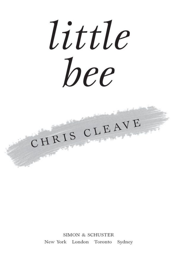 Обложка книги «Little Bee»