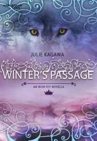 Обложка книги «Winter's Passage»