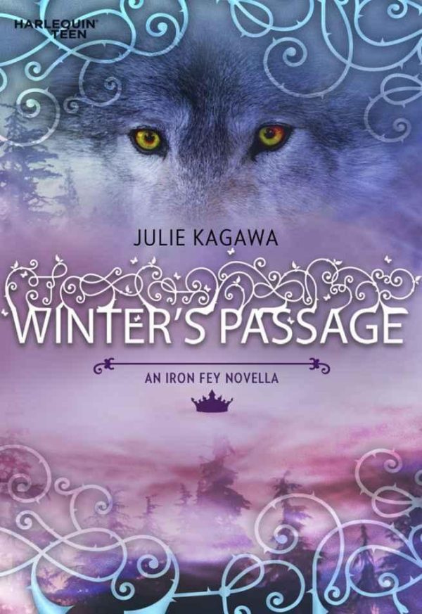 Обложка книги «Winter's Passage»
