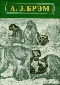 Обложка книги «Жизнь животных Том I Млекопитающие»
