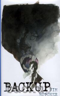 Обложка книги «Прикрытие (10.2)»