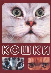 Обложка книги «Кошки»
