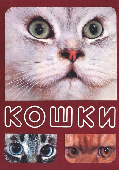 Обложка книги «Кошки»